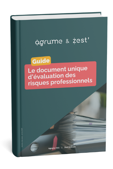 DUERP visuel page